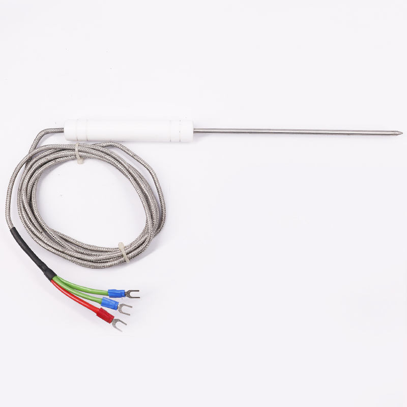 PT1000 PT100 NTC livsmedelsklassad sondtemperatursensor i rostfritt stål sond termoelement för köttgrillar och ugnar